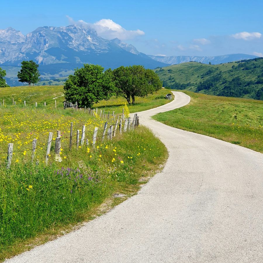 A quiet country road winding through a green meadow toward distant mountains